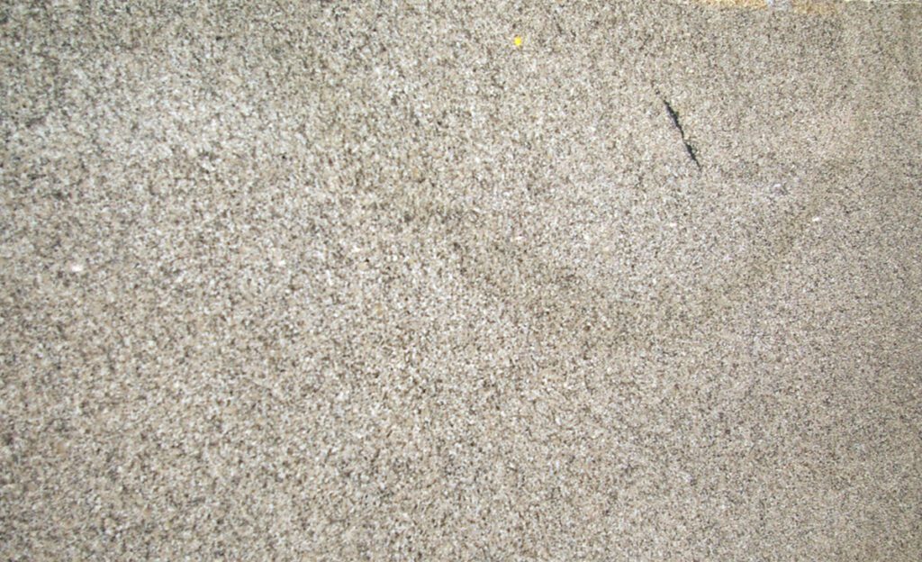 A close up of the ground surface of a concrete floor